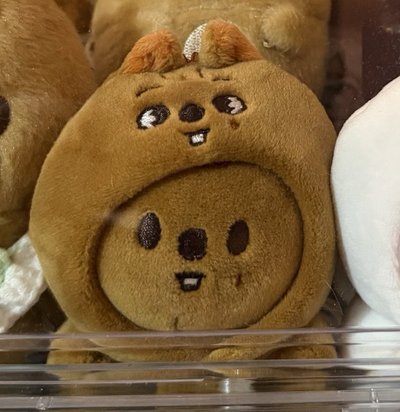 SKZOO 皆現貨 韓知城 HAN 娃娃相關🐿️