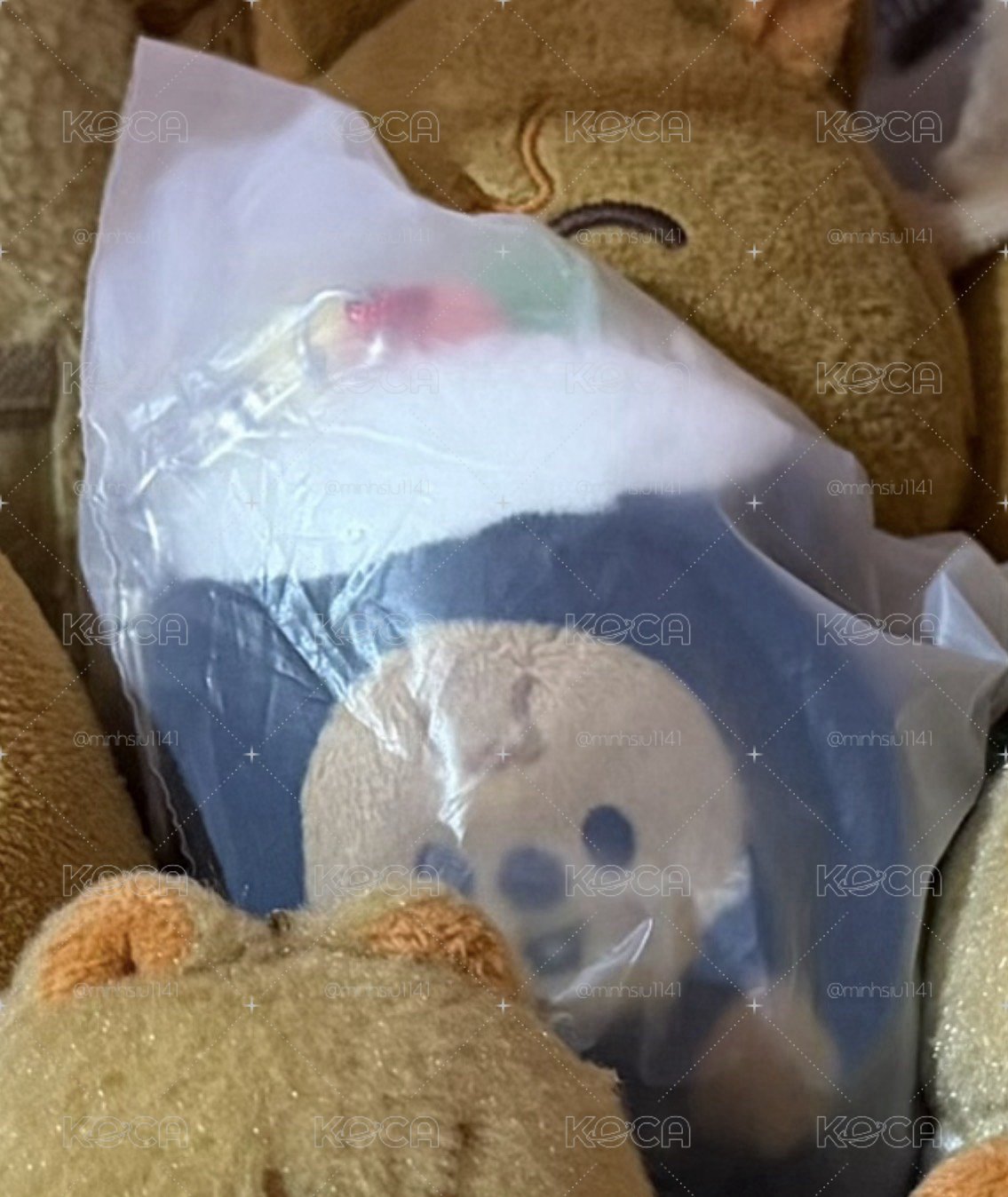 SKZOO 皆現貨 韓知城 HAN 娃娃相關🐿️