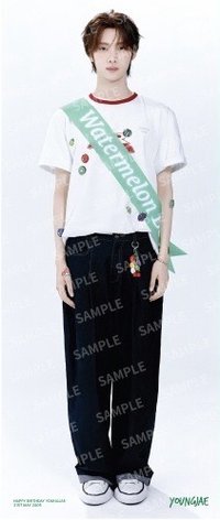 26 英宰 生日禮 海報 