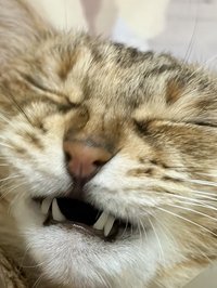 一家不賣咖啡的咖啡店