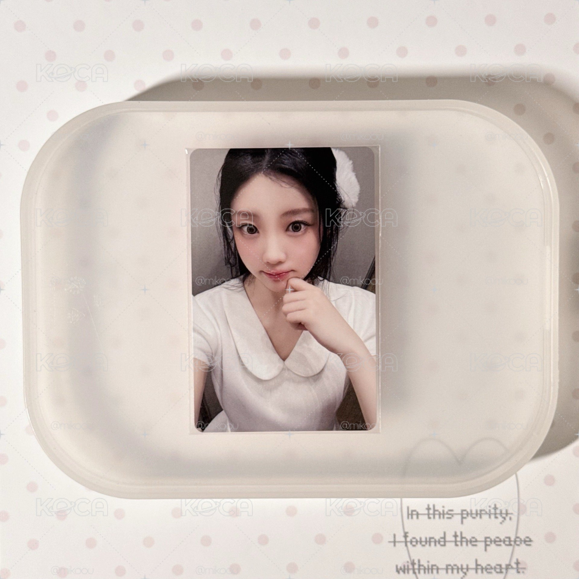 Wonhee 日巡紀念｜日咖