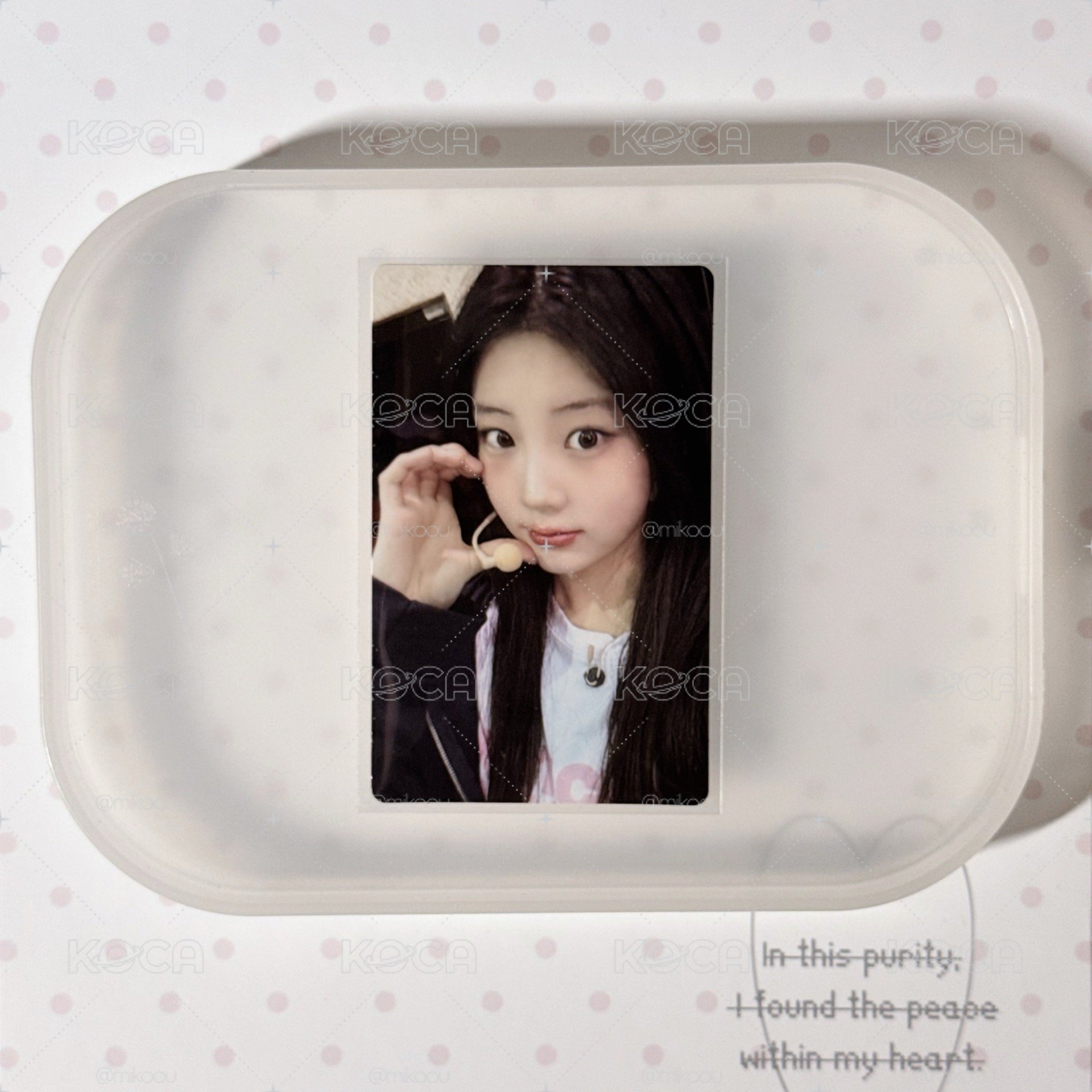 Wonhee Dingo特典卡