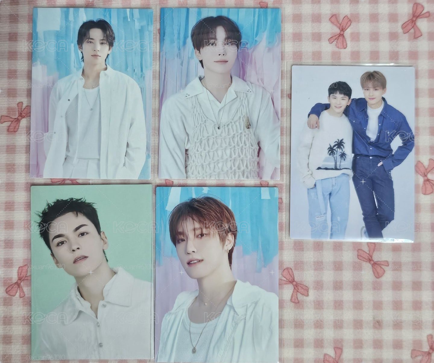 SEVENTEEN 飯咪 演唱會  小卡 金珉奎 崔瀚率 夫勝寛 李燦