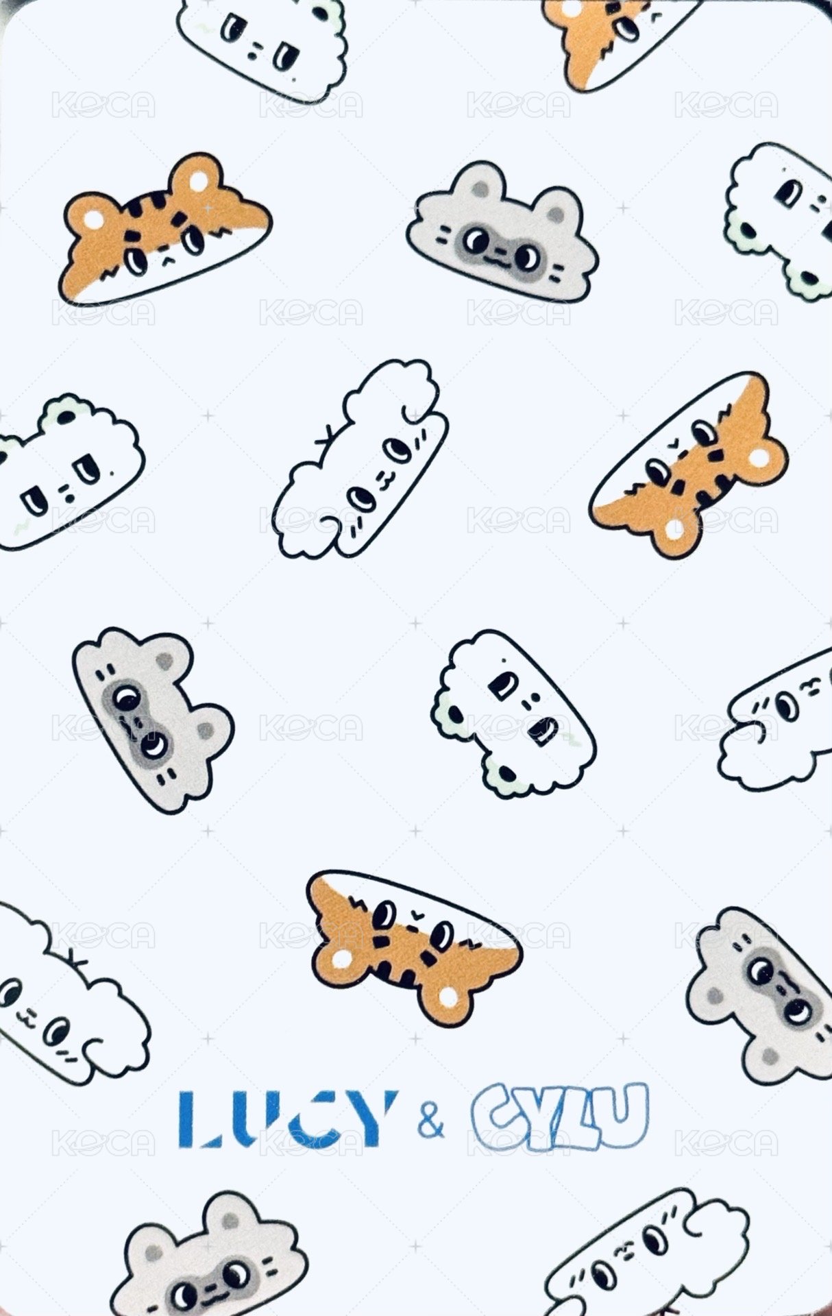 ISLAND 滿額卡  背面