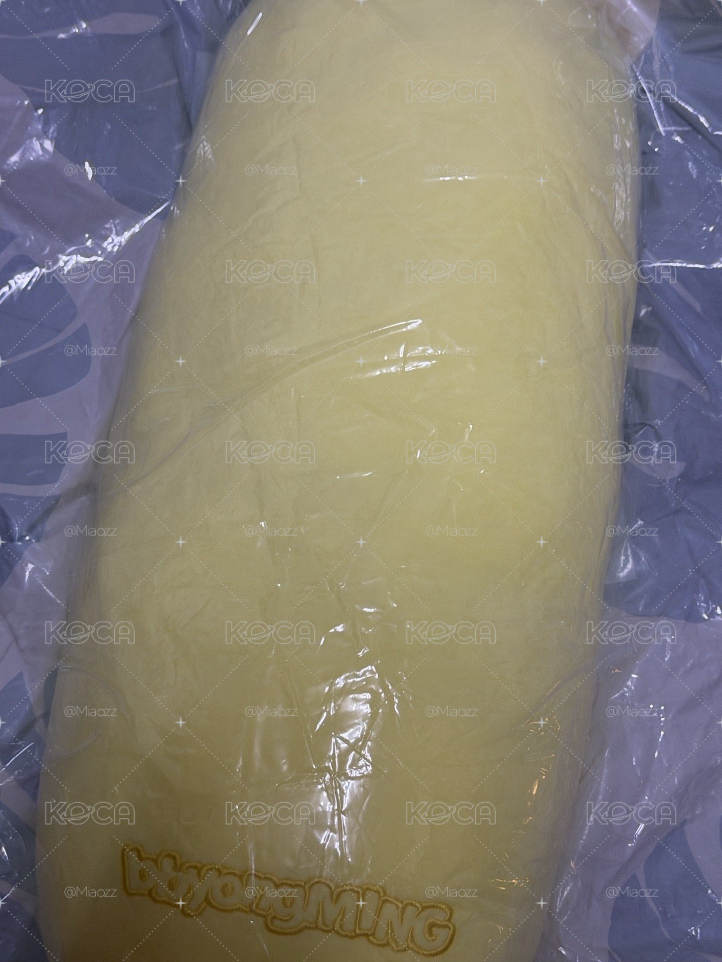 雞柳條 綁2900