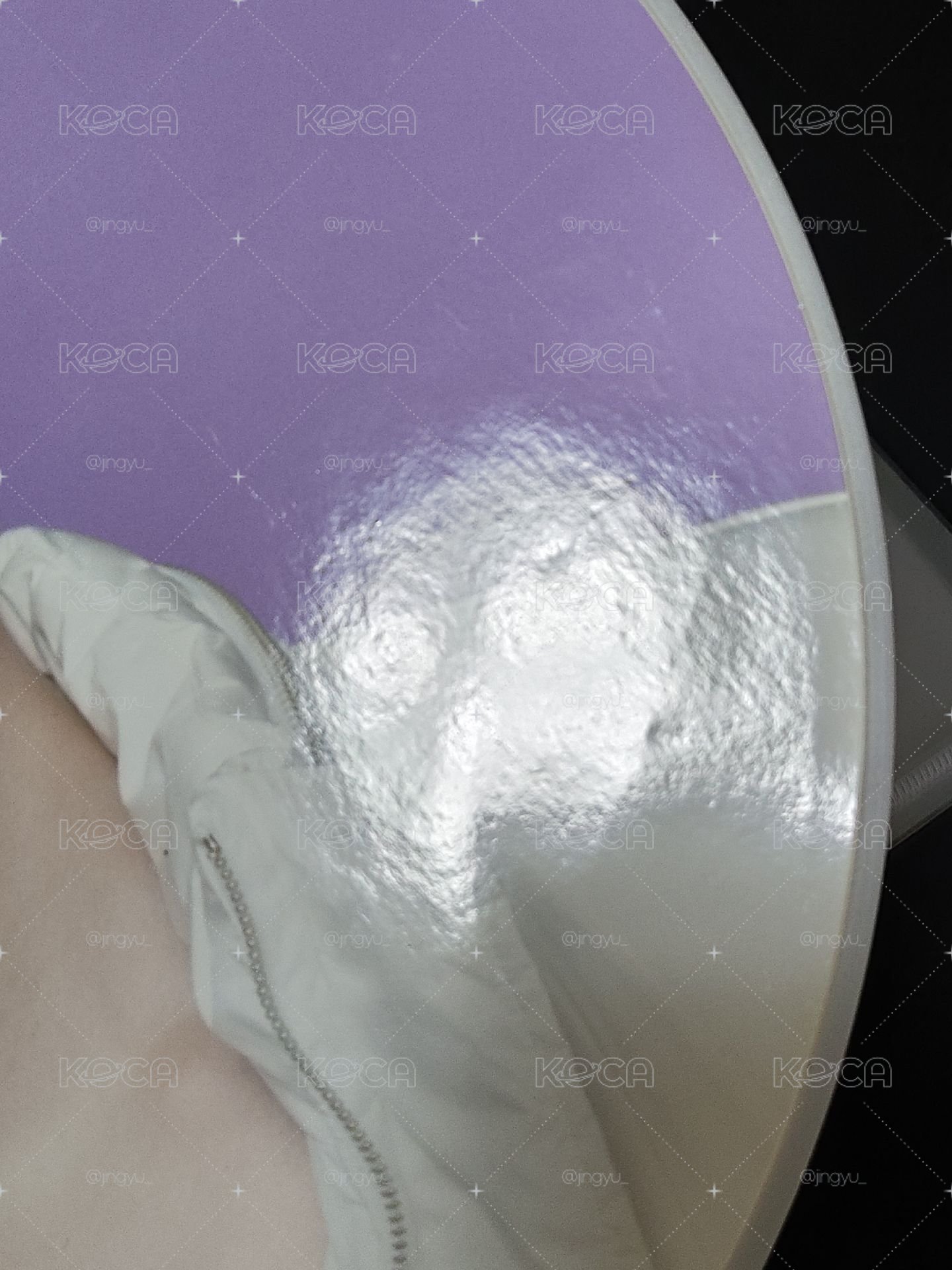 圓FA紫大扇