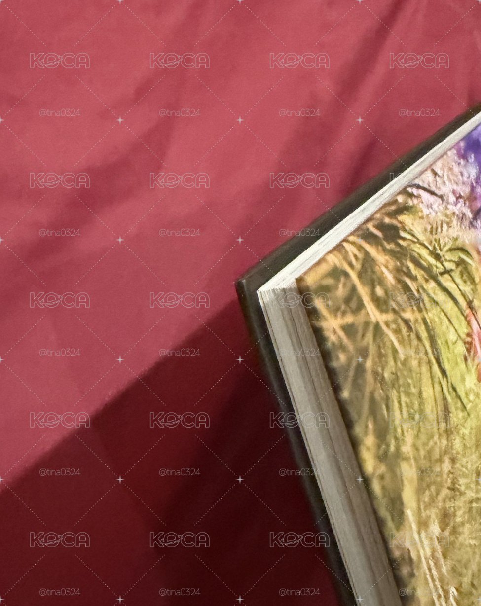 more & more 花絮寫真