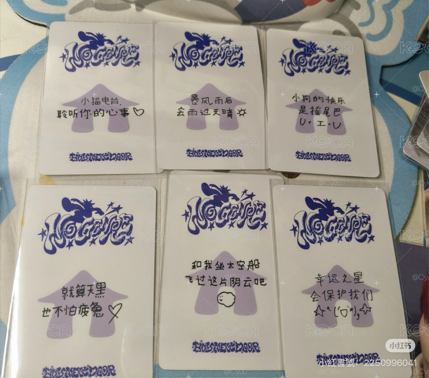 yzy 上海