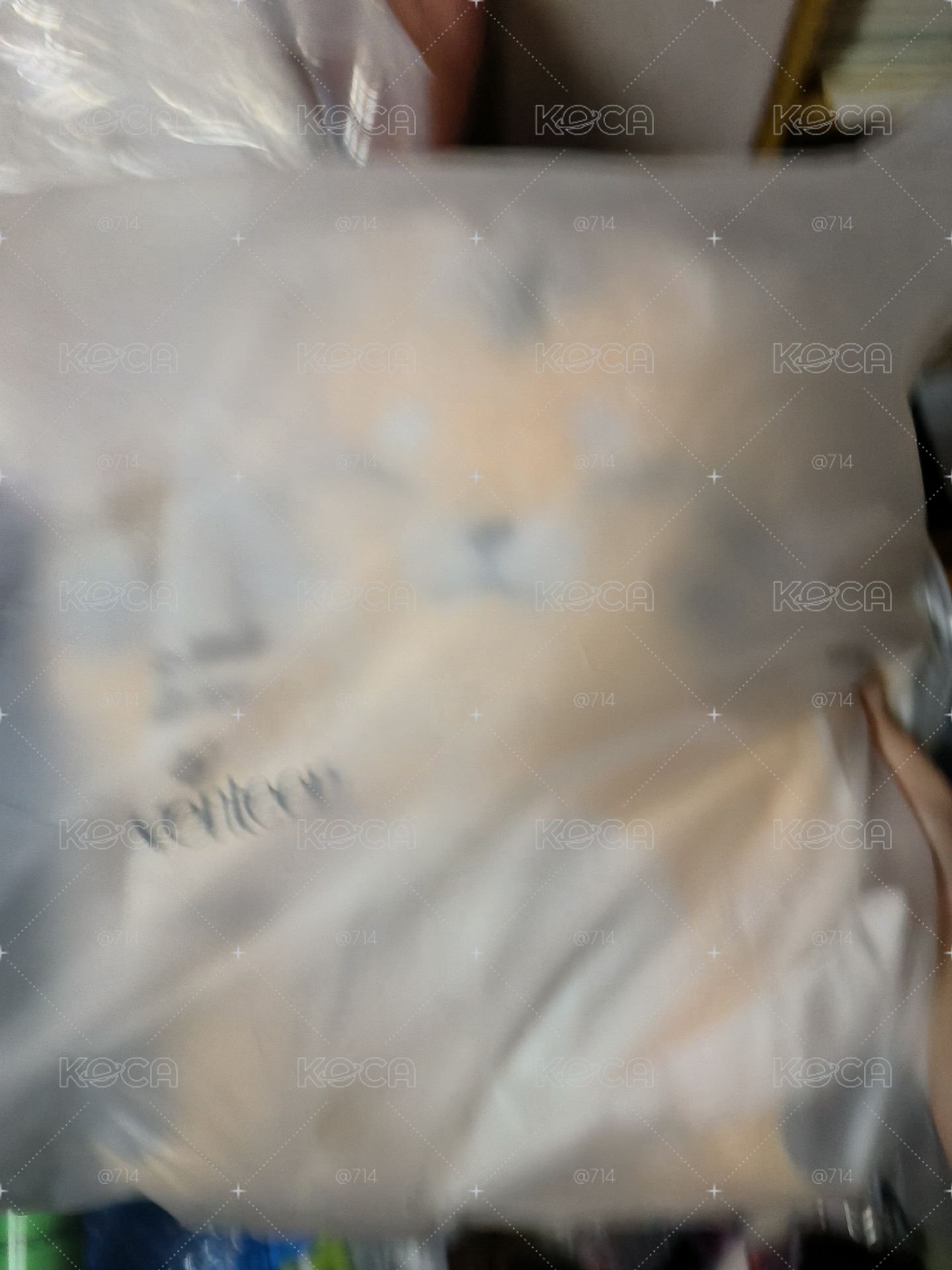 大TAMTAM
