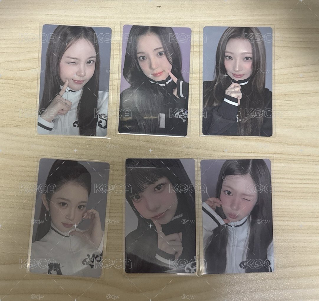 Focus小卡們