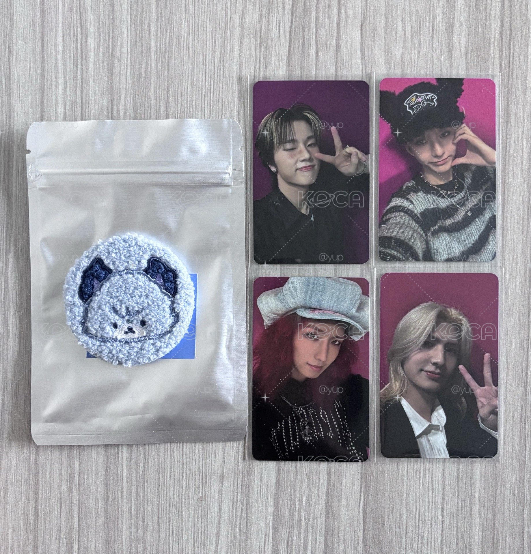 😈 演毛絨徽章+台北場入場卡*4