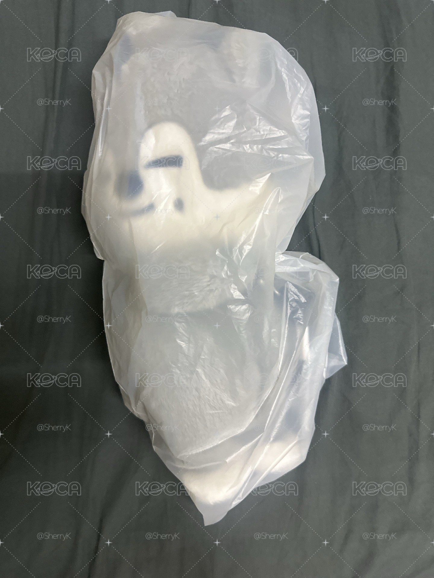 燦側背娃 直出