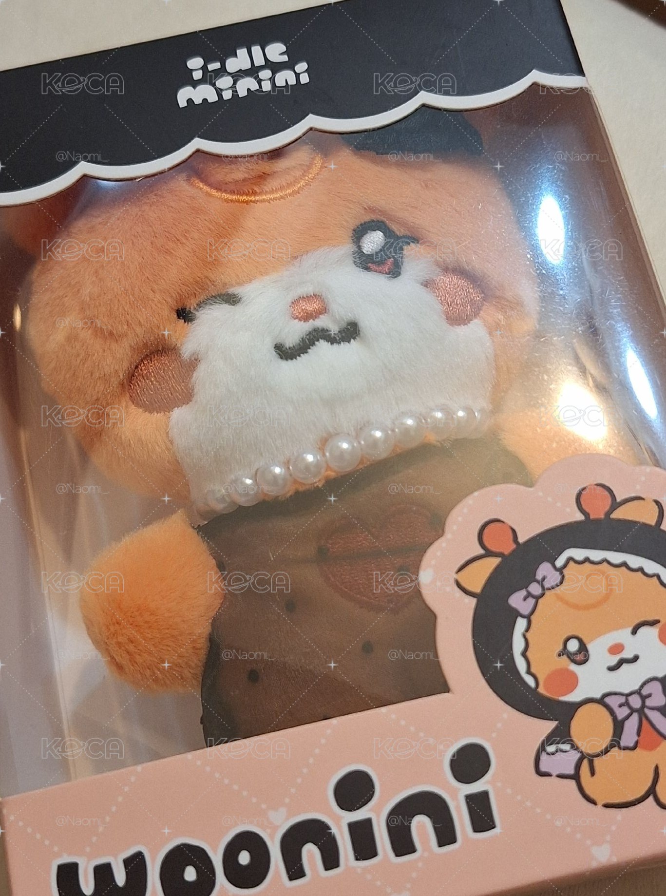 快帶woonini回家