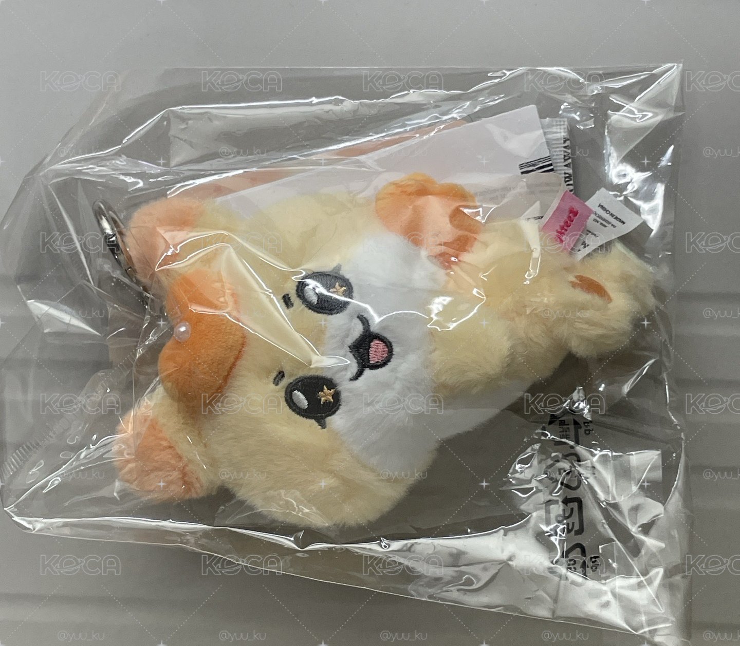 飛天小鼠趴趴