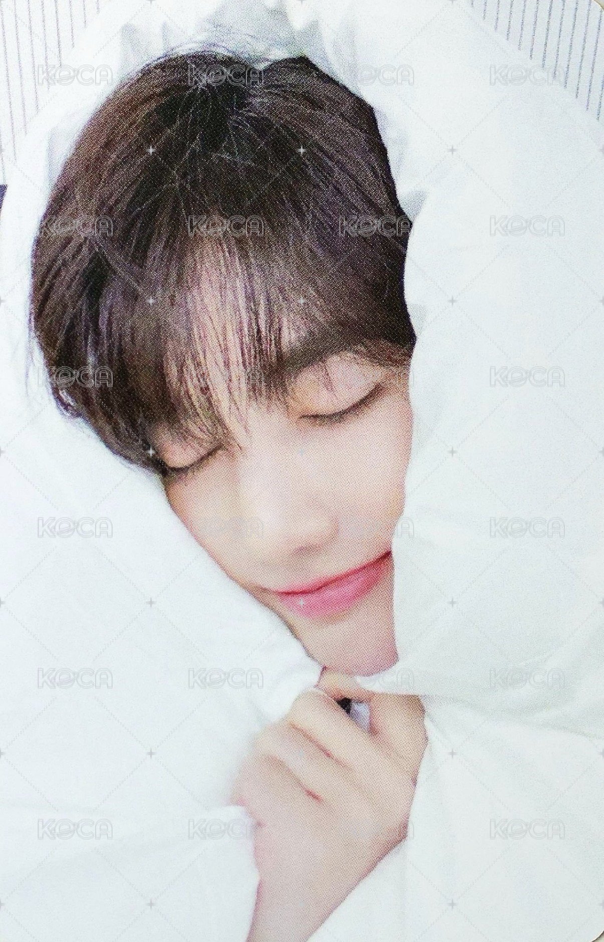 昊