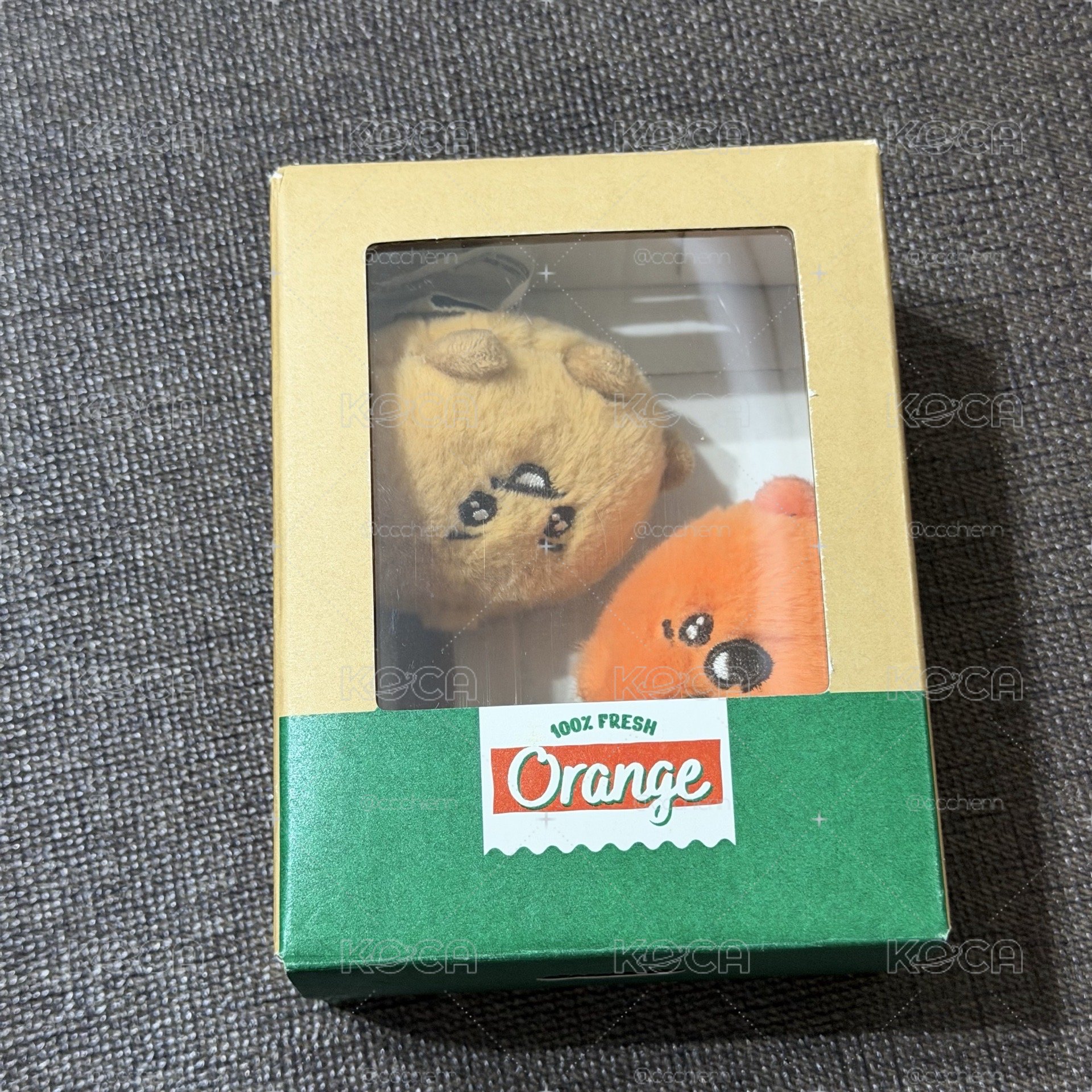橘子Shooky