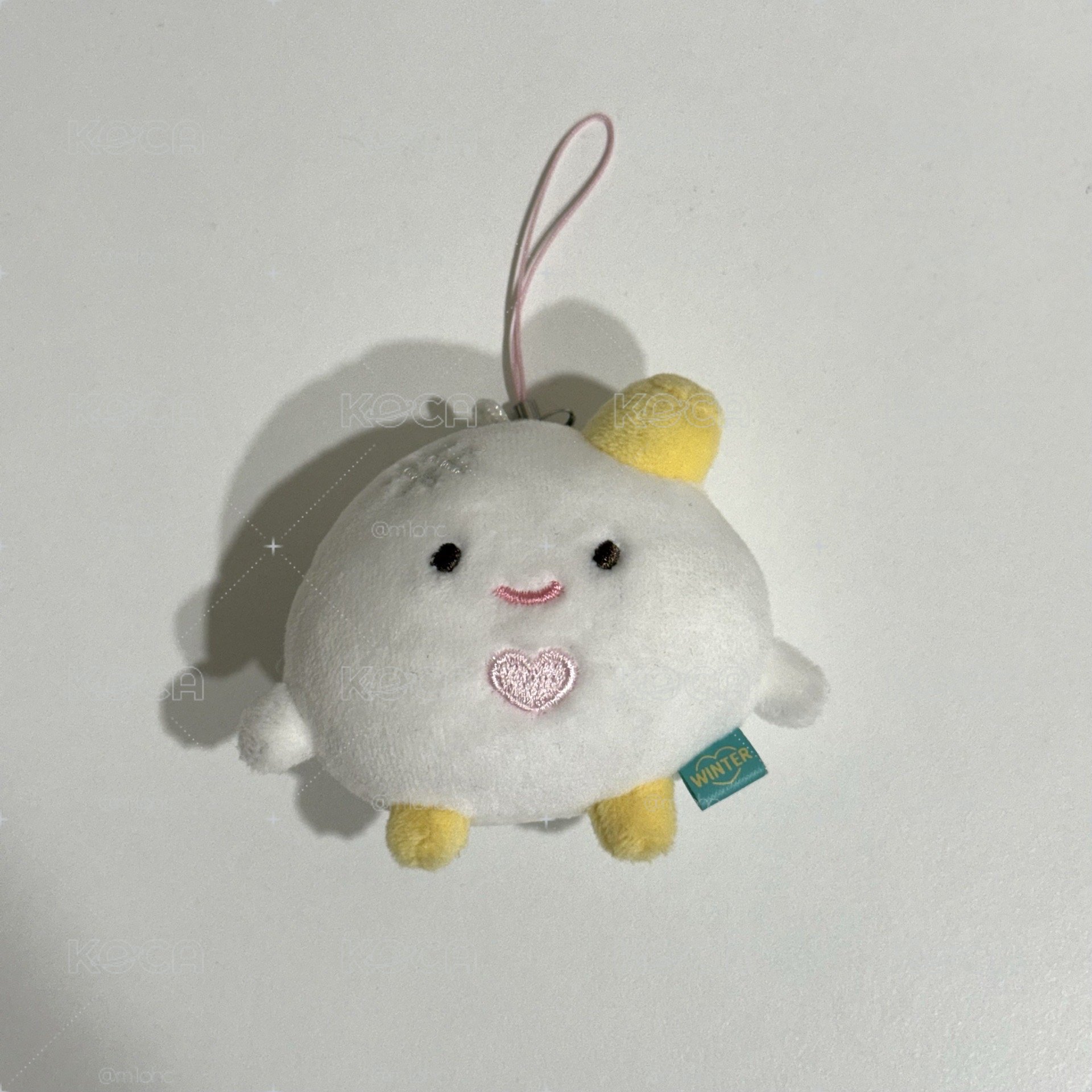 二巡吊娃 手燈娃冬