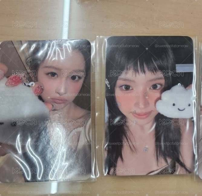 fans 預售特典 友