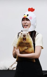 追星的野狼