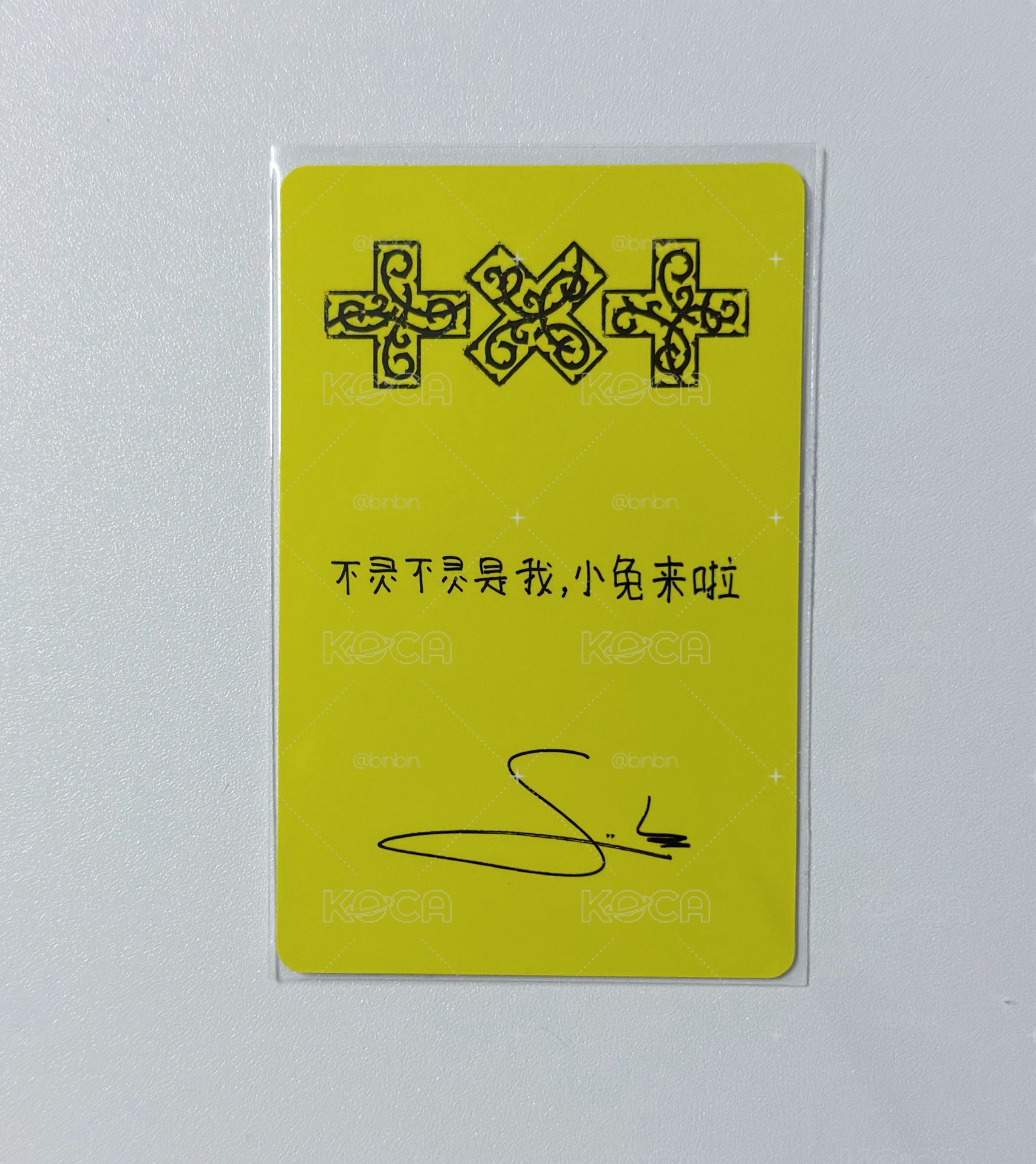 中背小兔來啦