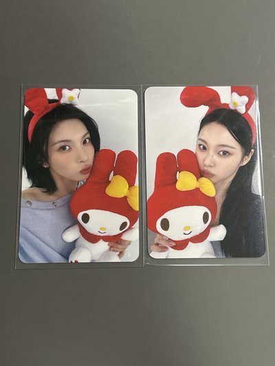 ✅NMIXX 兔子角色裴圭