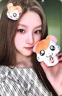 單曲二 hl 線上 1.0 團簽 簽售卡 