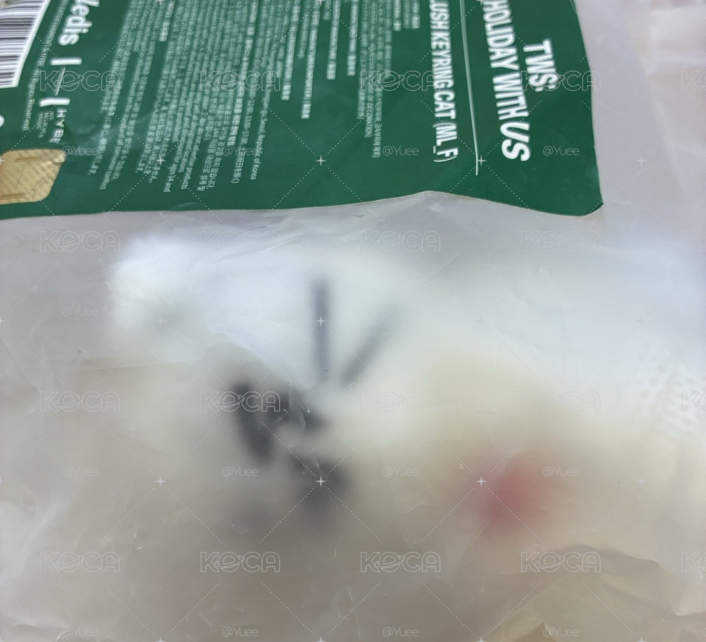 聖誕貓