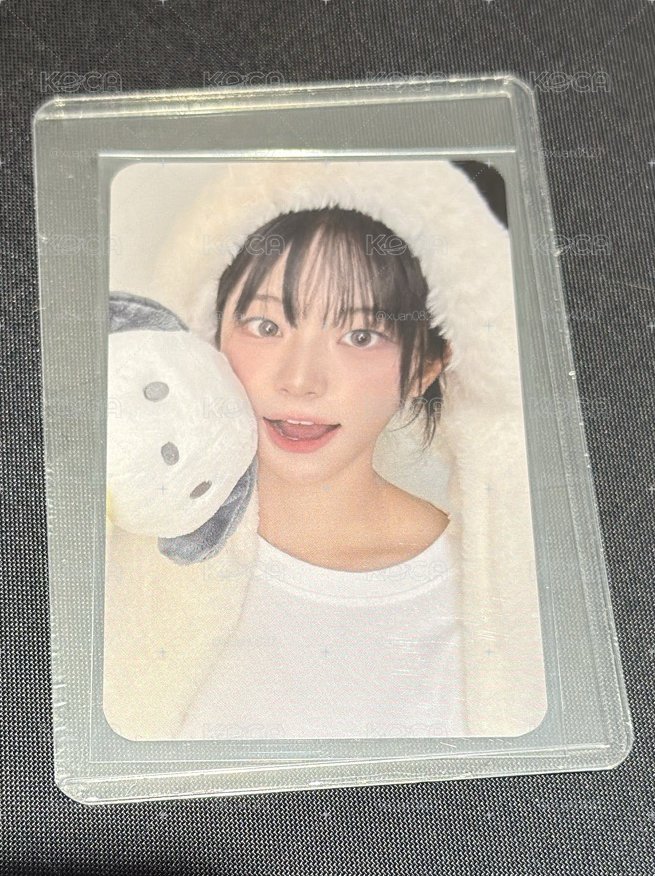 帕恰狗丹
