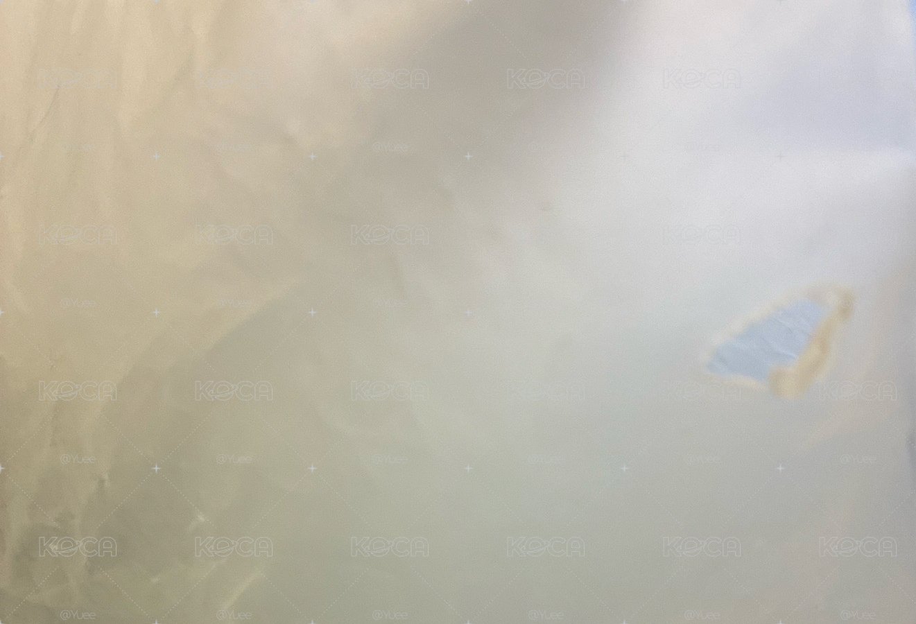 大貓