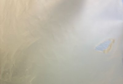 大貓