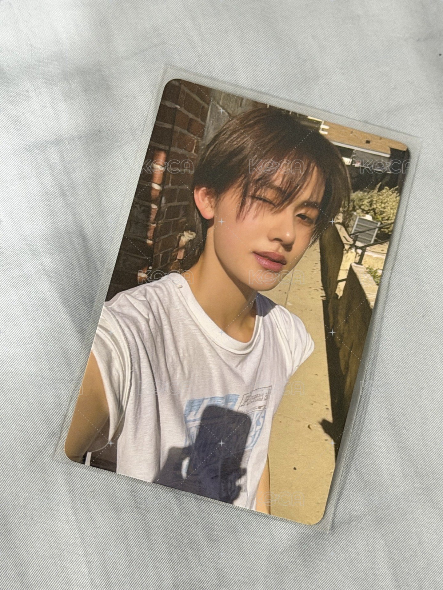 嚴環球預售特典