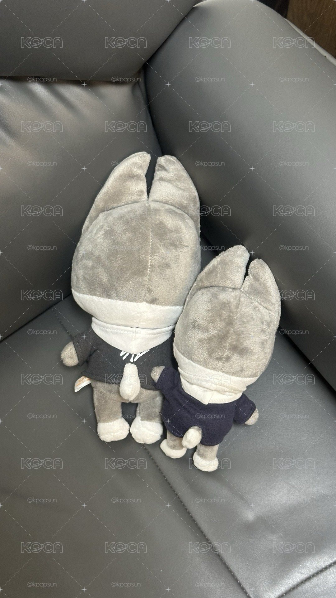 SKZ 燦狼 大小娃