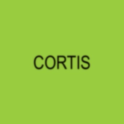 CORTIS 