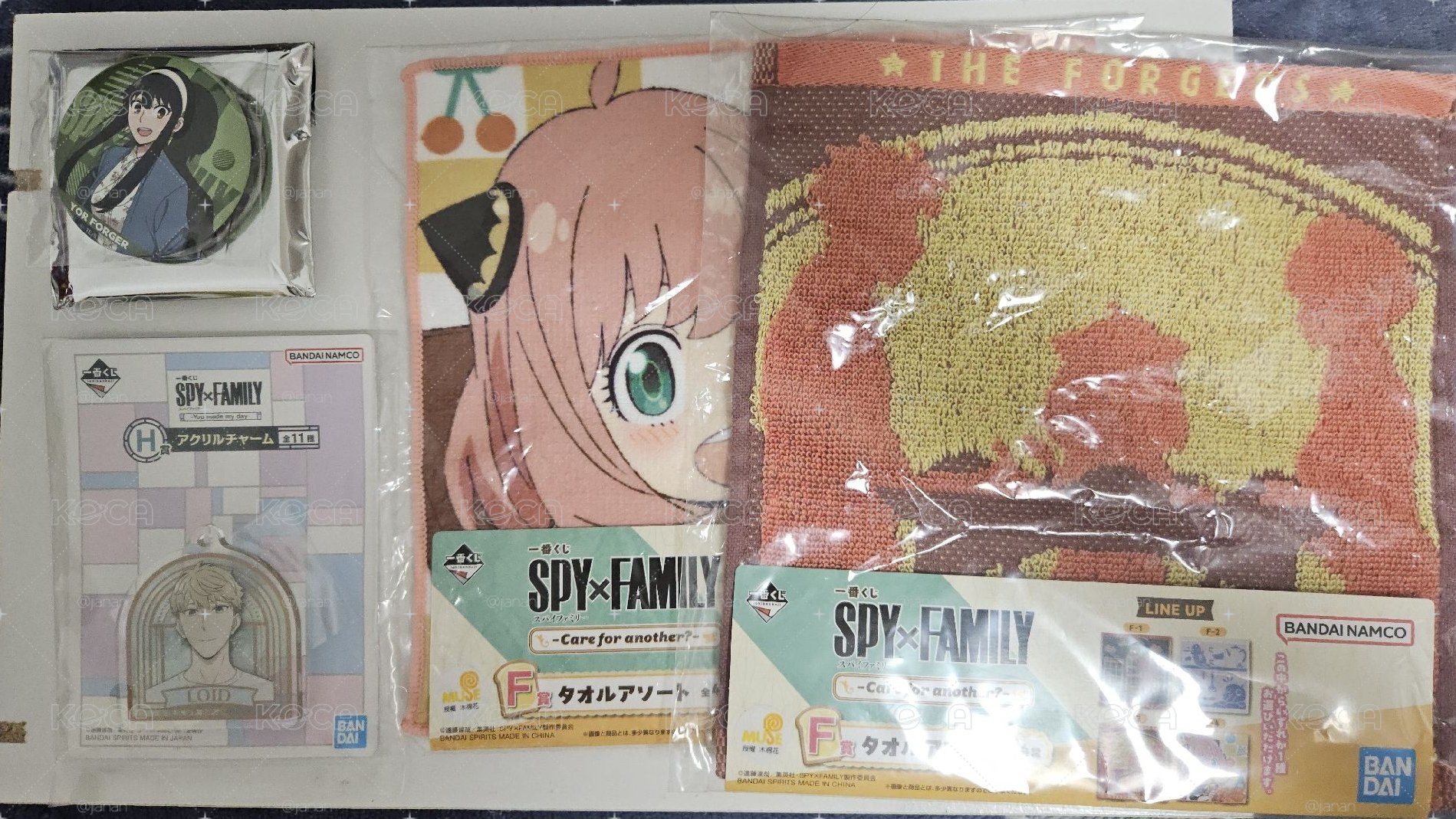 SPY FAMILY