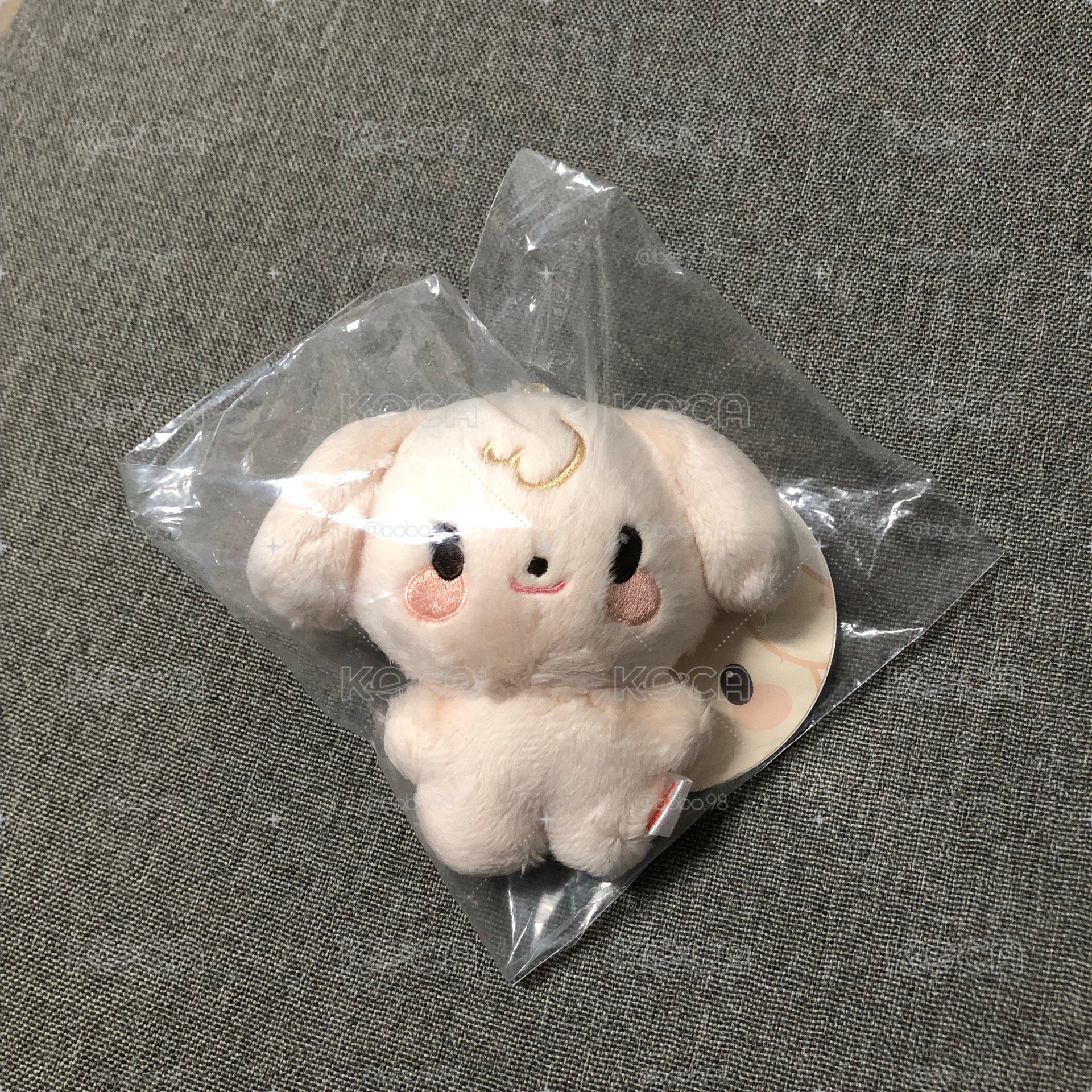 ANITEEZ IN COLOR 原皮寶寶娃 潤浩