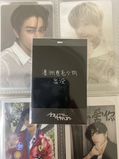 卷毛小狗拍立得🐶