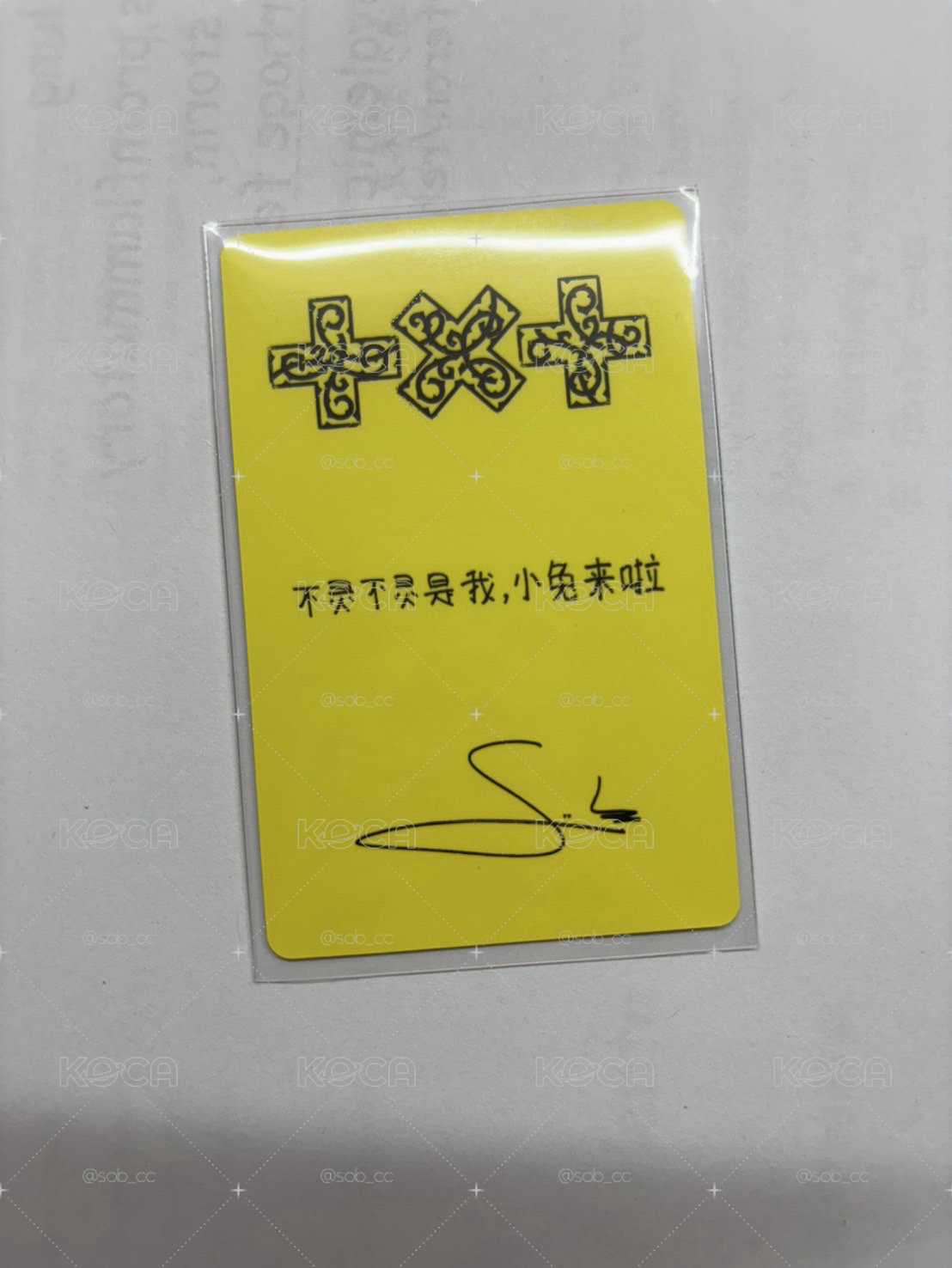 不靈不靈小兔來啦！