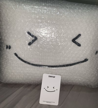絕版珍稀豆腐大枕