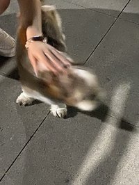 tz👾🐹