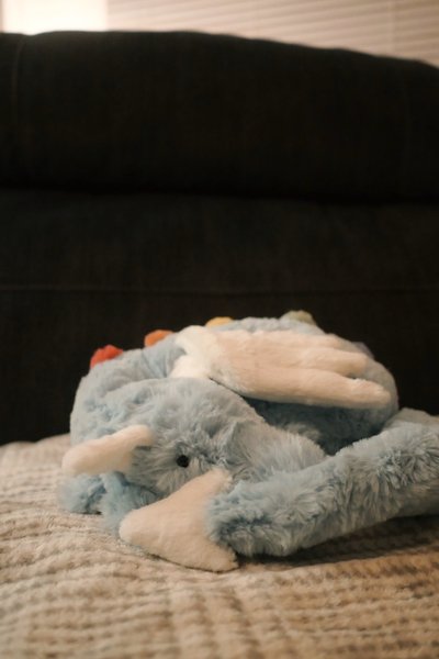 美國親自運回 Jellycat 🐰🐻🐲🐢