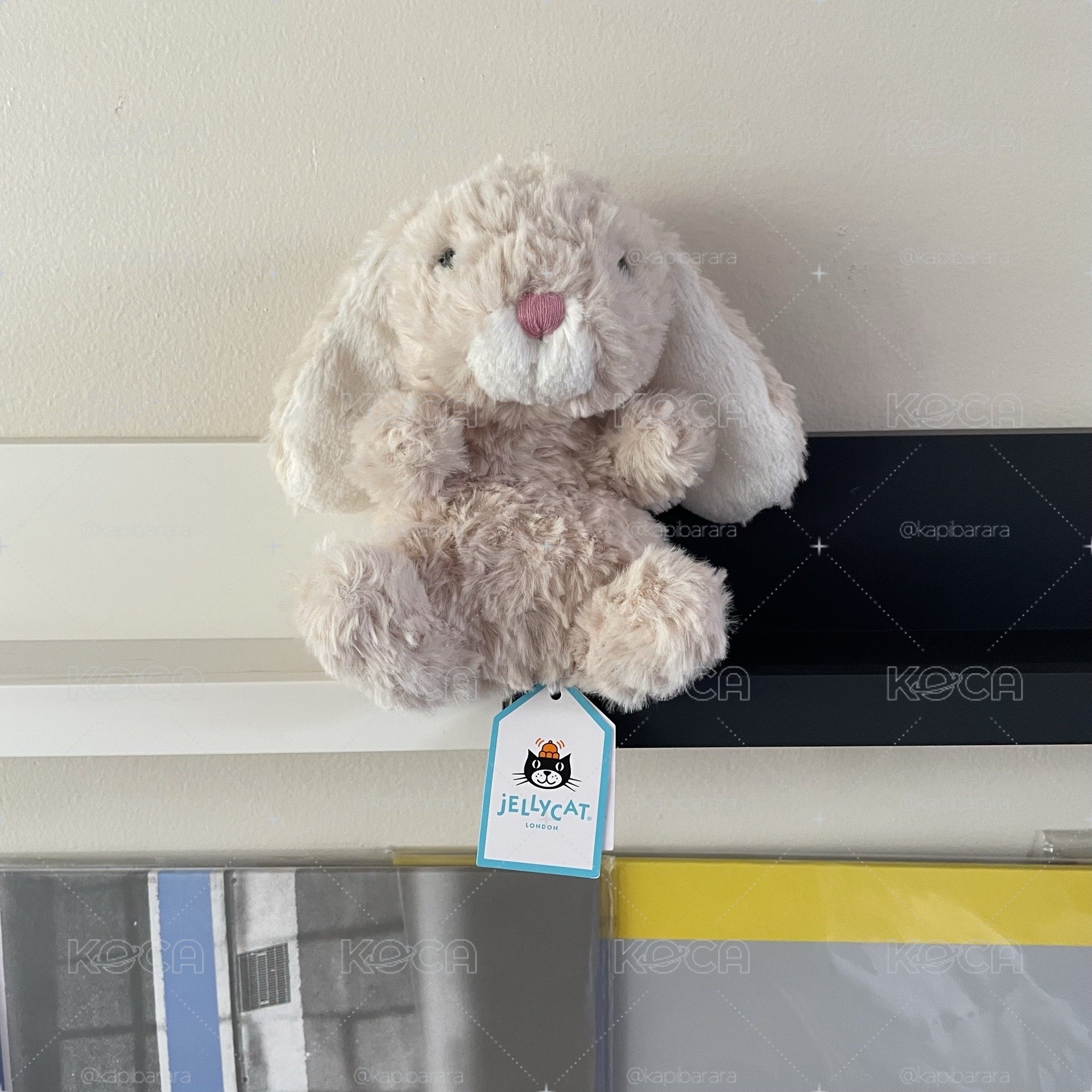 美國親自運回 Jellycat 🐰🐻🐲🐢