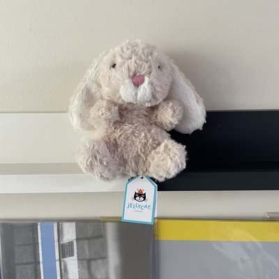 美國親自運回 Jellycat 🐰🐻🐲🐢