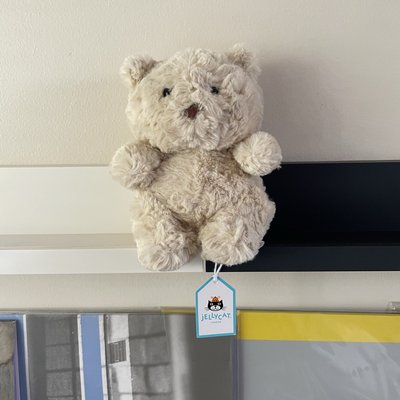 美國親自運回 Jellycat 🐰🐻🐲🐢