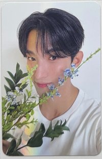親愛盤 碩