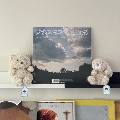 現貨 RSD ZB1 黑膠