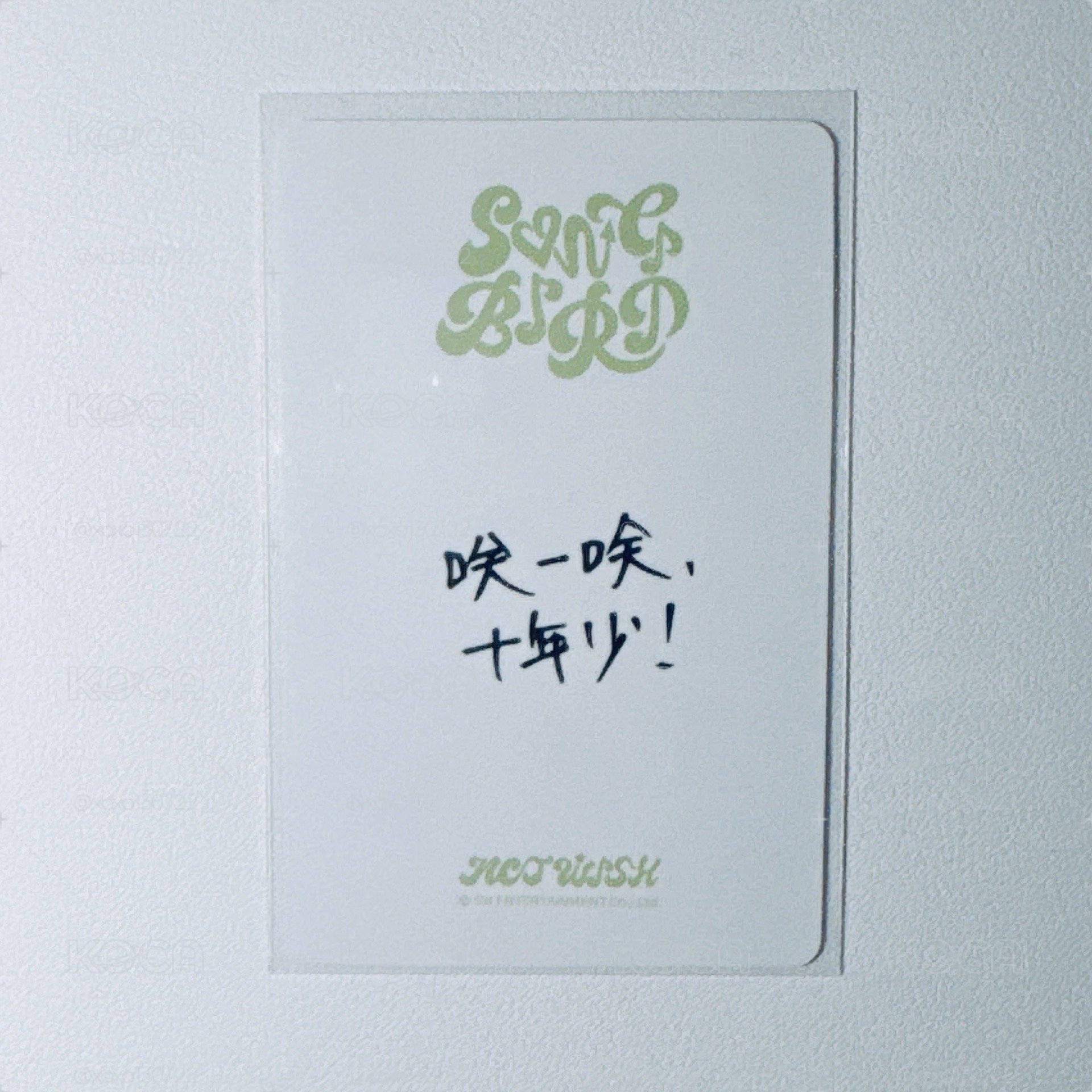 NCT WISH｜Song Bird