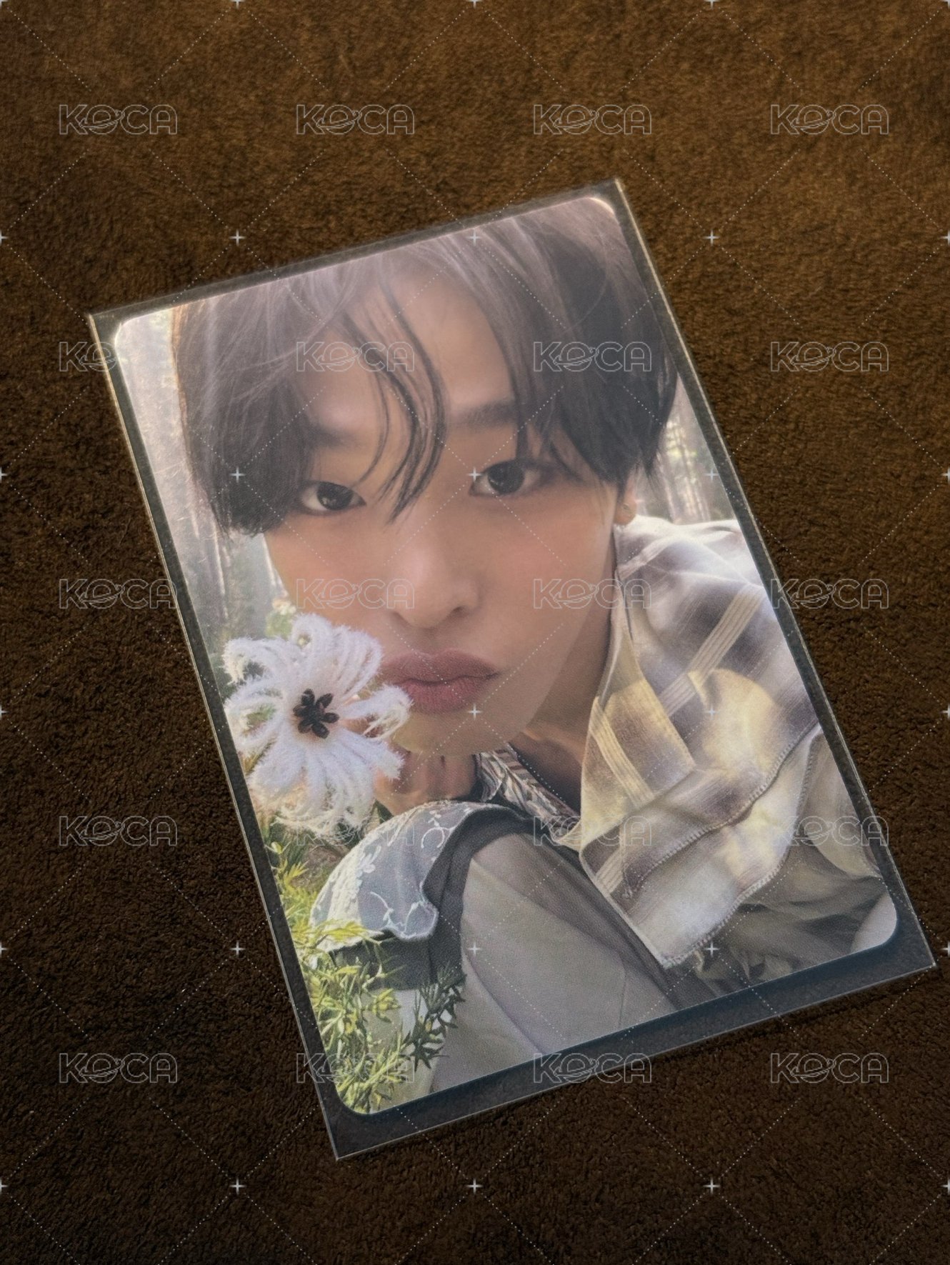 小貓&🌼