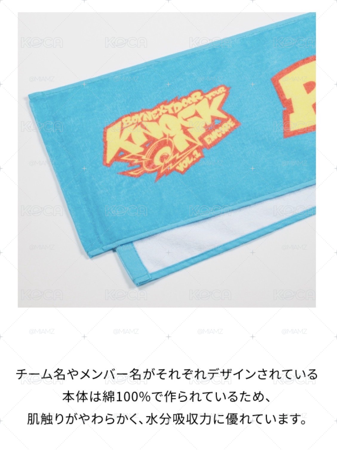 ［全新現貨］BND日本首巡限定團名毛巾