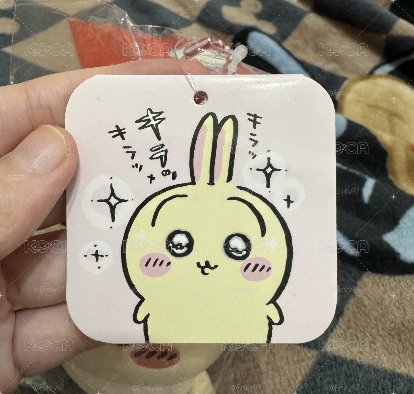水汪汪兔
