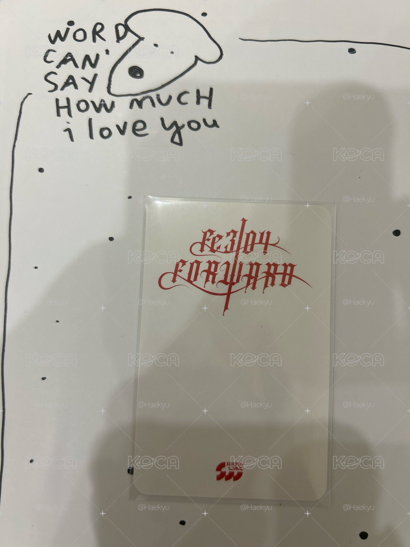 阿拉蕾嫄綁主頁任一物